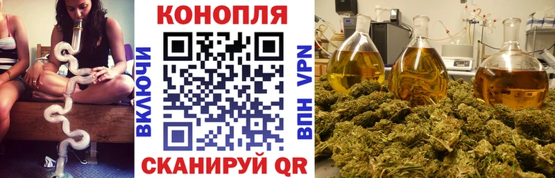 Наркошоп купить Канабис  Меф мяу мяу  Кокаин  Альфа ПВП  Гашиш  Выборг
